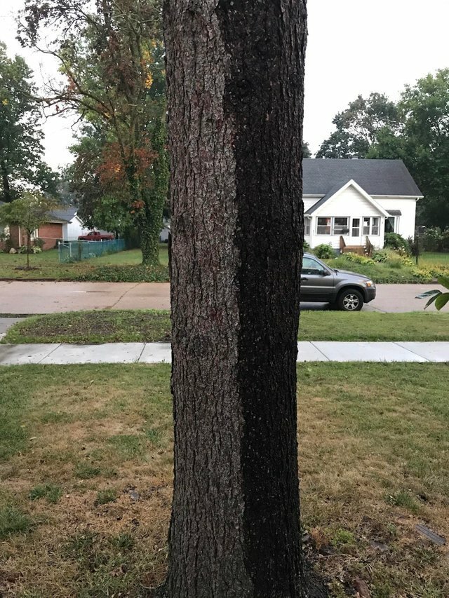 24 кадра, на которых всё настолько идеально, что даже не верится Отдых