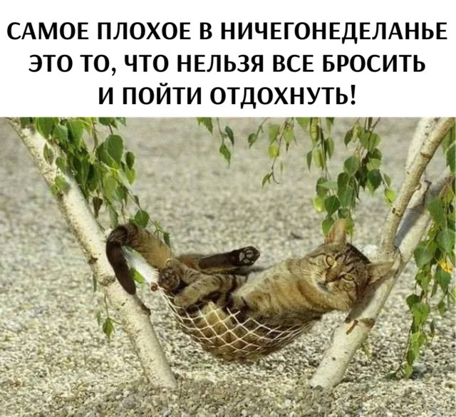 Субботний Фотопозитив 