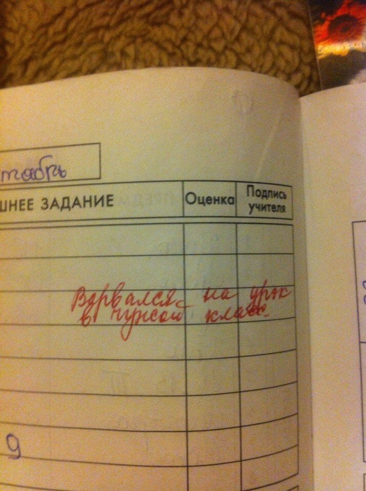 Шедевры, которыми просто невозможно не поделиться в сети