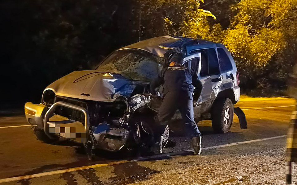 В серьёзном ДТП на трассе под Рязанью погиб человек