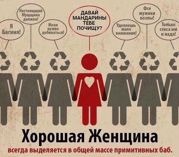 Классные и зачетные надписи к картинкам и фото приколам из нашей жизни Классные и зачетные надписи к картинкам и фото приколам из нашей жизни картинки с надписями,красивые фотографии,прикольные картинки,смешные комментарии