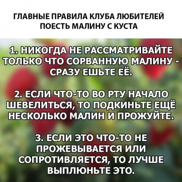 50 картинок в эту пятницу