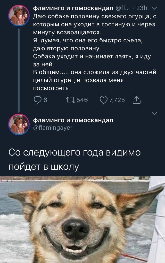 Алиса случайно заглянула в зазеркалье и обнаружила там заначку мужа анекдоты,веселье,демотиваторы,приколы,смех,юмор