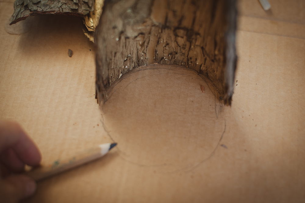 Трофеи с осенней прогулки превращаются в красивый сезонный декор Трофеи с осенней прогулки превращаются в красивый сезонный декор декор,домашний досуг,своими руками