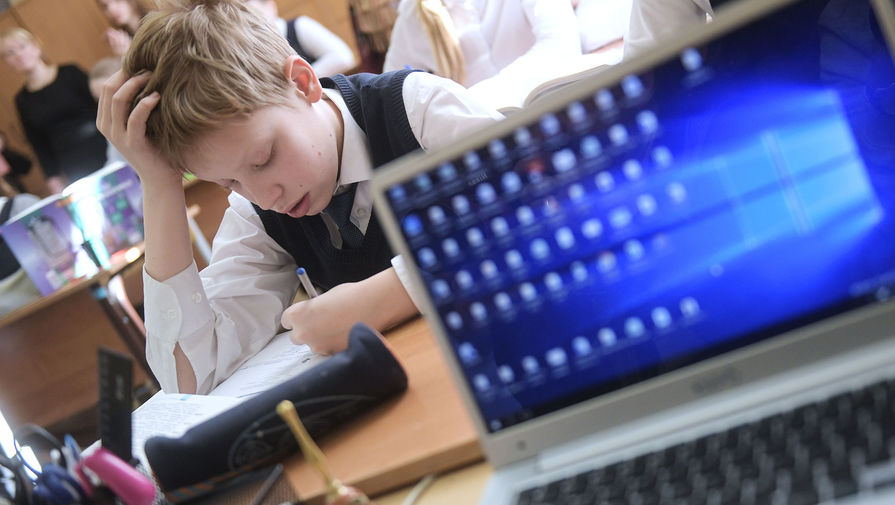 В Москве не планируют вводить удаленное обучение для школьников