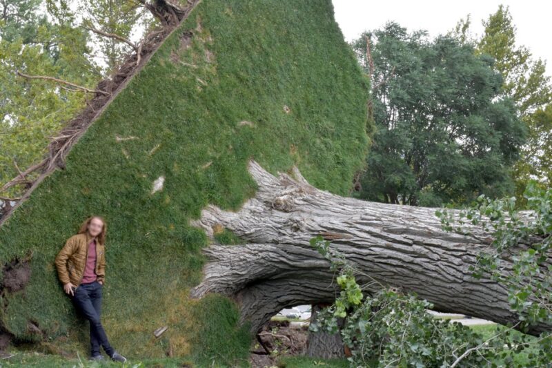 Фотодоказательства уникальных явлений