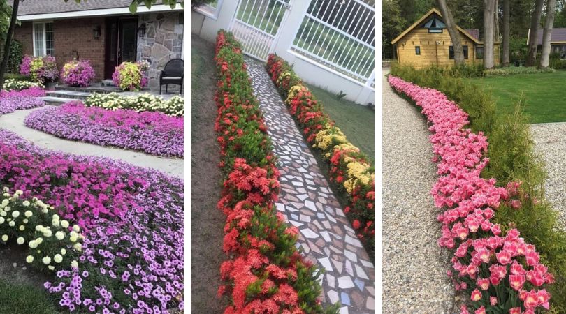 35 идей, как оформить обворожительные клумбы вдоль дорожек дача,ландшафтный дизайн,сад и огород,цветоводство