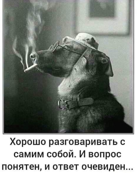 Очень смешные и забавные картинки 