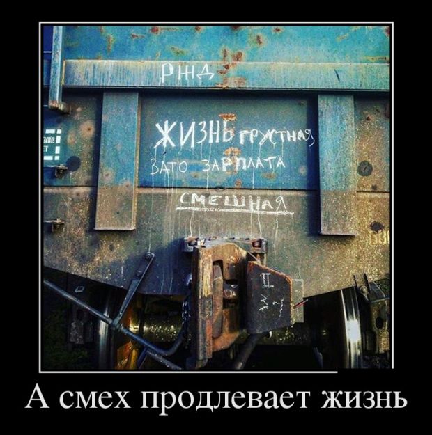 Веселые и забавные демотиваторы для хорошего настроения (11 фото)