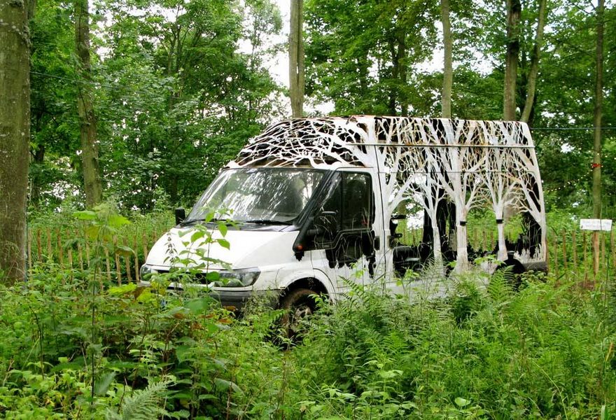 forests-cut-transit-nature-delivers-dan-rawlings -19