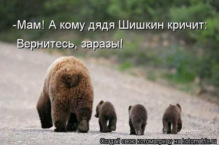 Кошарики :) Кошарики :)