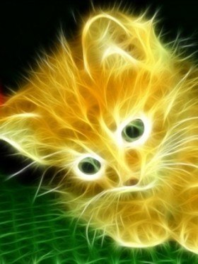 Подборка смешных картинок и фотографий из нашей жизни Подборка смешных картинок и фотографий из нашей жизни забавные фотографии