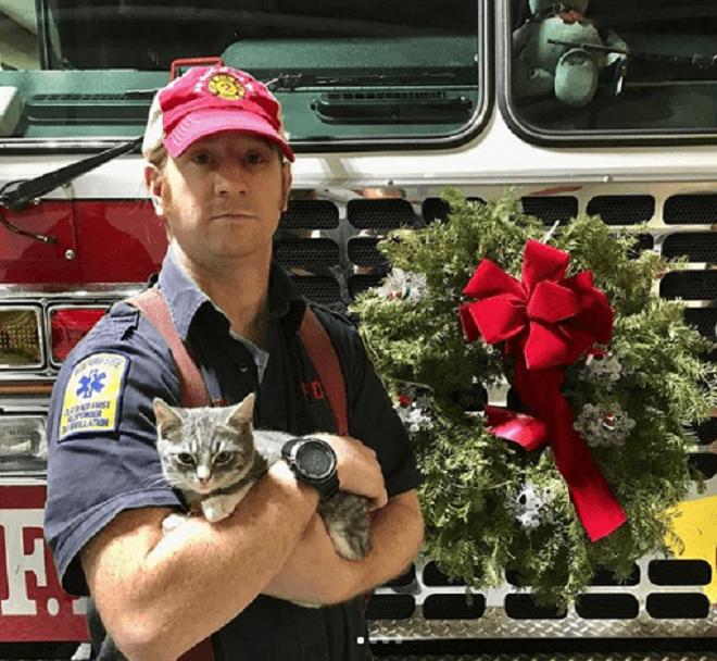Мужчина с котом на Рождество