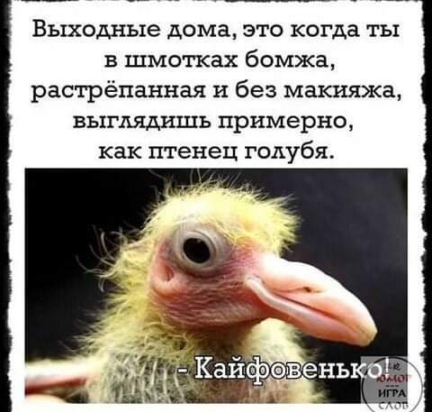 - Посоветуй, что купить жене на День рождения?... очков, писать, Доктор, спрашивают, рождения, Молодой, человек, проще, бульк, раввин, другому, Наверное, Рабиновича, «Мост, разрушен», громкий, заблокированы, улице, паника, беспорядочно