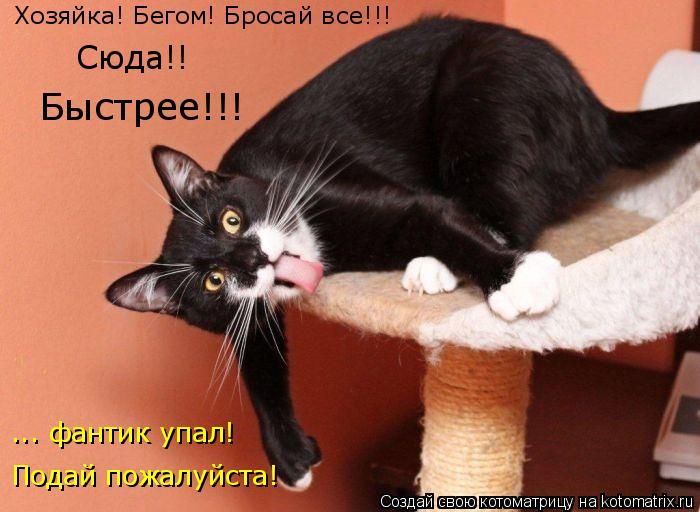 Мысли вслух :)