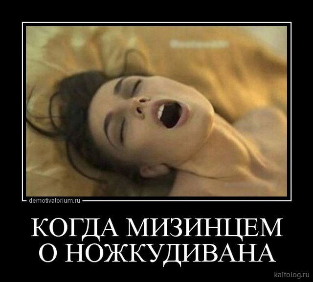 Почему у нас нет полиции нравов? Почему у нас нет полиции нравов? анекдоты,веселье,демотиваторы,приколы,смех