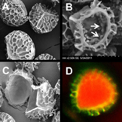 Удивительные медицинские технологии будущего, которые уже изобретены