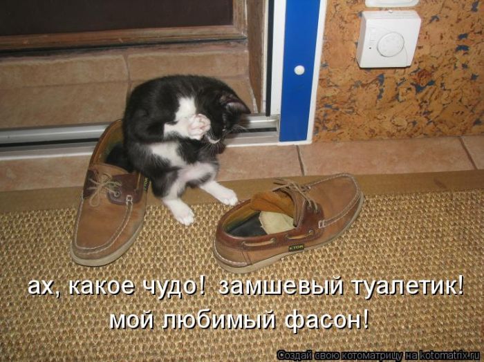 Мысли вслух :)