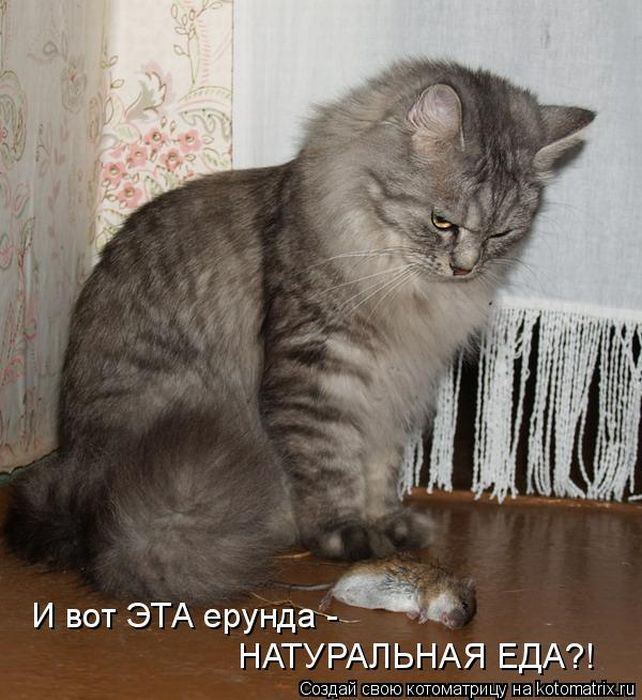 Мысли вслух :)