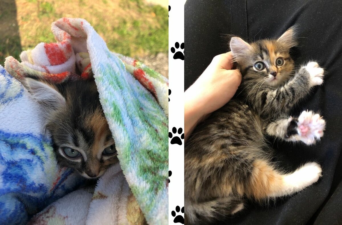 Первое фото по пути домой и второй день дома