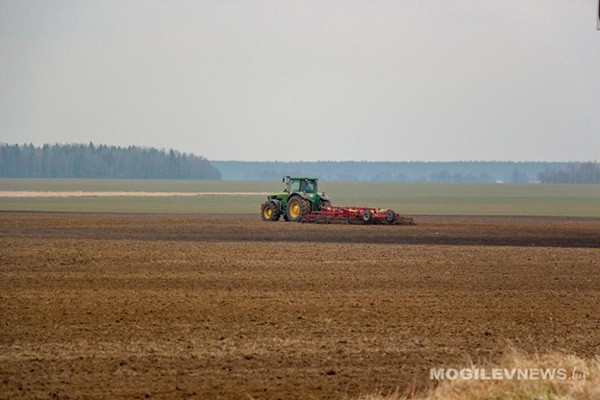 В Могилевской области завершен сев ранних яровых зерновых и зернобобовых культур.