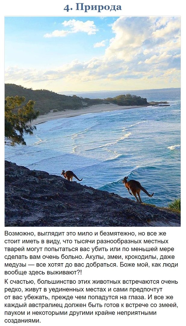 10 фото, доказывающих, что Австралия — это совершенно иной мир 10 фото, доказывающих, что Австралия — это совершенно иной мир