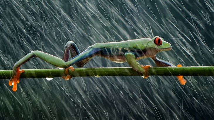 Потрясающие фотографии с конкурса # Water2019 интересное,конкурс,фотография