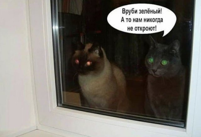 Шутки и мемы из Сети  позитив,смешные картинки,юмор