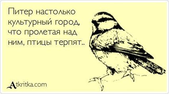 Юмор про Санкт-Петербург 