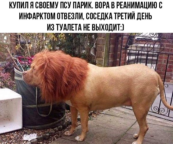 - А в Петербурге давно дождь? - С 1703 года... - А в Петербурге давно дождь? - С 1703 года... анекдоты,веселые картинки,демотиваторы,приколы,юмор