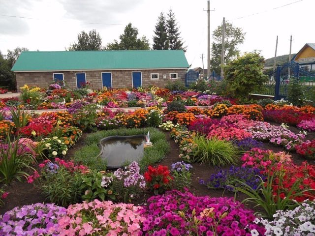 Прекрасная женщина Айгуль Гафарова  из села Сатыево в Башкортостане и ее цветочный рай. Оцените пожалуйста....такая красота достойна внимания. handmake,поделки для сада,разное