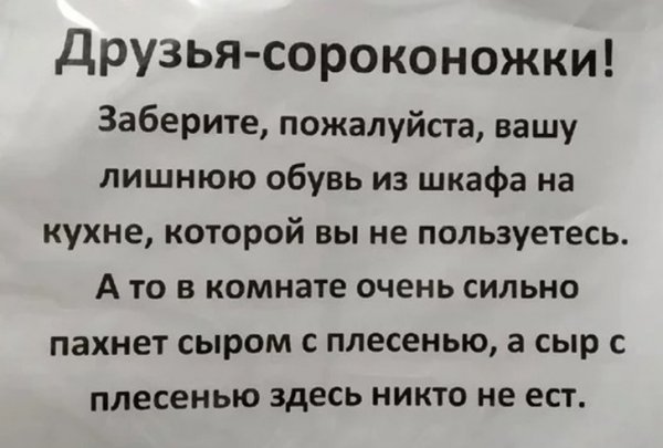 Подборка забавных объявлений  