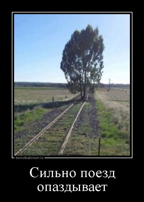 Демотиваторы дня Демотиваторы дня