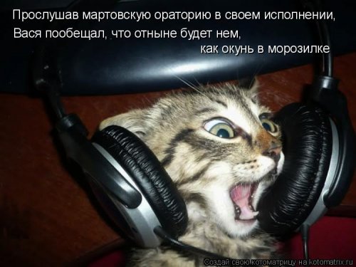 Лучшая котоматрица недели Лучшая котоматрица недели позитив,смешные картинки,юмор