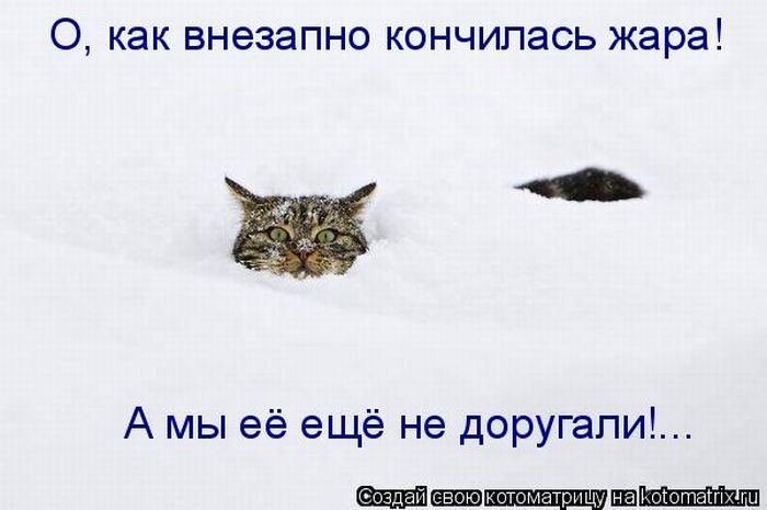 Мысли вслух :)