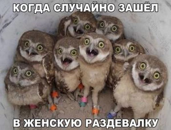 Идет мужик по берегу озера, видит: какой-то парень черпает рукой воду из озера и пьет... весёлые