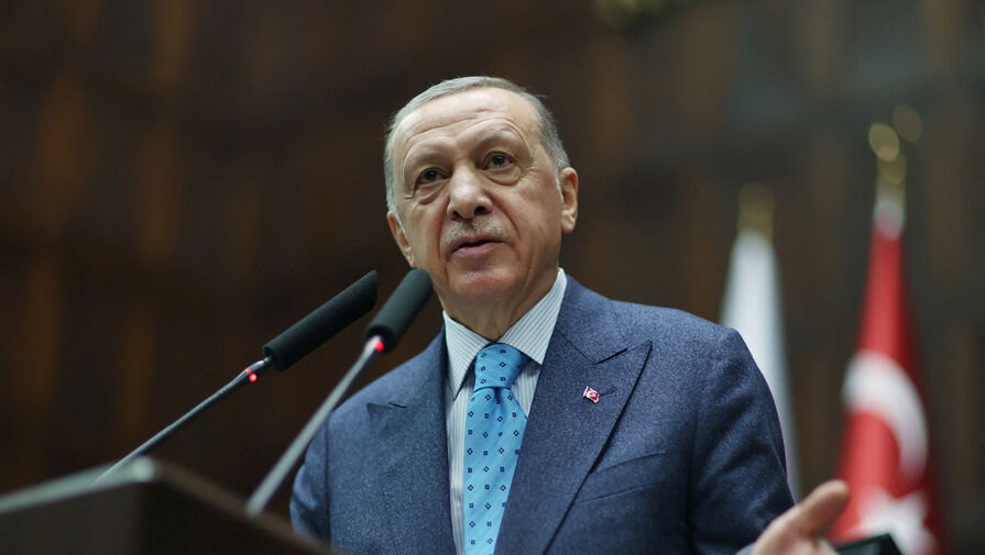 В МИД России назвали Эрдогана лидером особого 