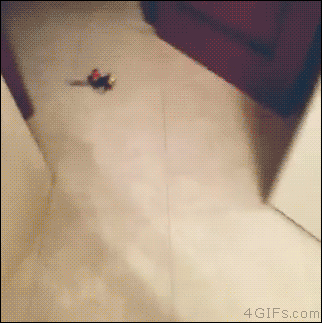 Подборка ржачных и забавных гифок со смыслом 