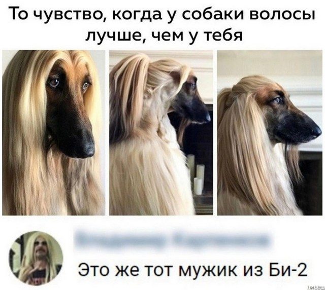 100% ржака из социальных сетей. Удачный сборник! позитив,смешные картинки,юмор