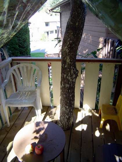 Как построить домик на дереве Как построить домик на дереве сделай сам