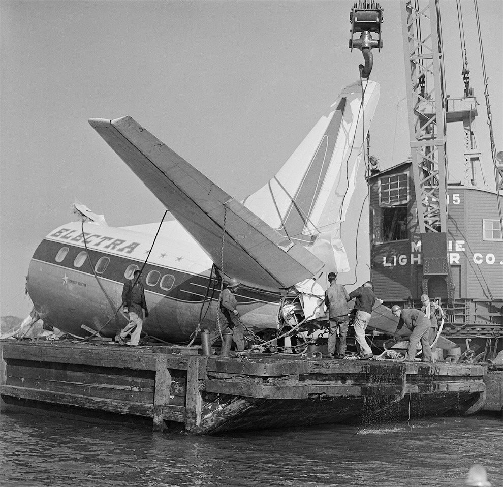 Громкие катастрофы самолетов с участием птиц Громкие катастрофы самолетов с участием птиц