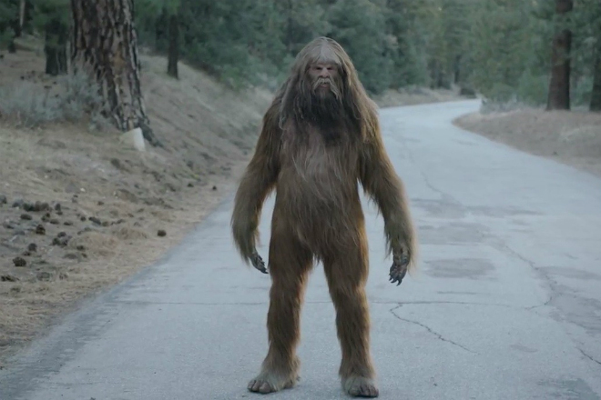 Ученые расшифровали ДНК снежного человека