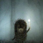 Опасная экспедиция, или Дикий-предикий камышовый кот животные,из жизни,Истории из жизни,позитив,Хохмы-байки