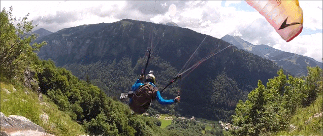 Классные и позитивные гифки из сети забавные гифки ржака