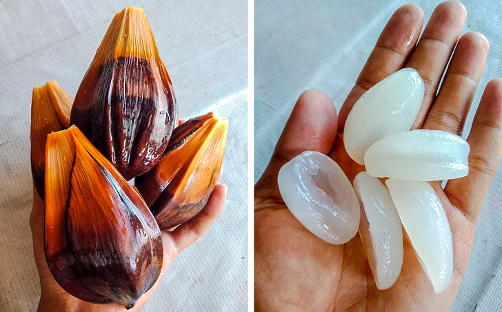 16 редких экзотических фруктов, которые вы увидите в первый раз 16 редких экзотических фруктов, которые вы увидите в первый раз страны,туризм