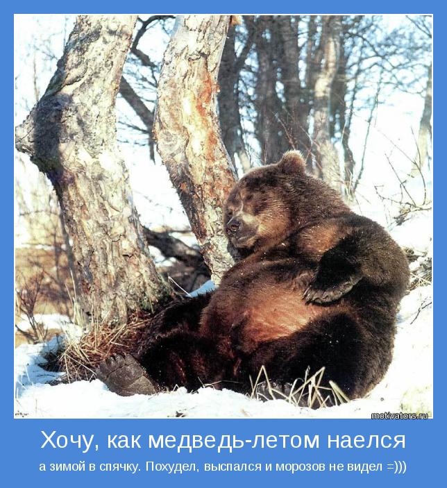 Очередная доза хорошего настроения и позитива Очередная доза хорошего настроения и позитива