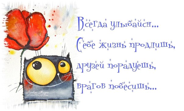 Прикольные картинки с фразочками Прикольные картинки с фразочками