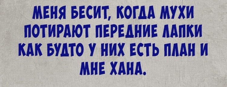 - Какая же я была дура, когда вышла за тебя замуж!... Весёлые