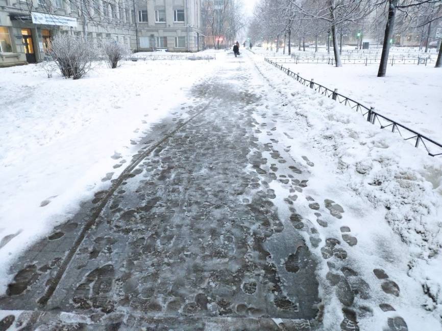 «Лучший подарок»: петербуржцы попросили на Новый год очищенный от снега город