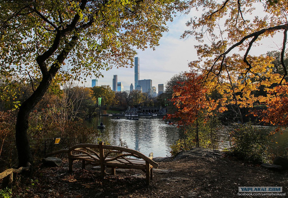 Центральный парк Нью-Йорка города,заграница